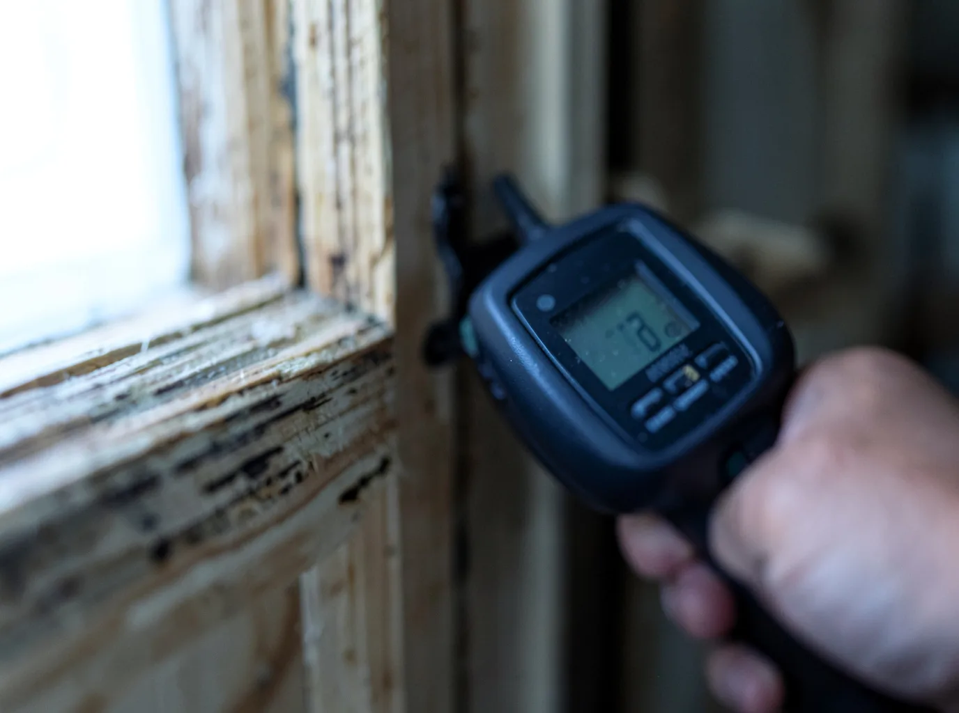 Moisture Inspection And Documentation in Burbank, WA